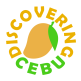 cebu pacific travel itinerary