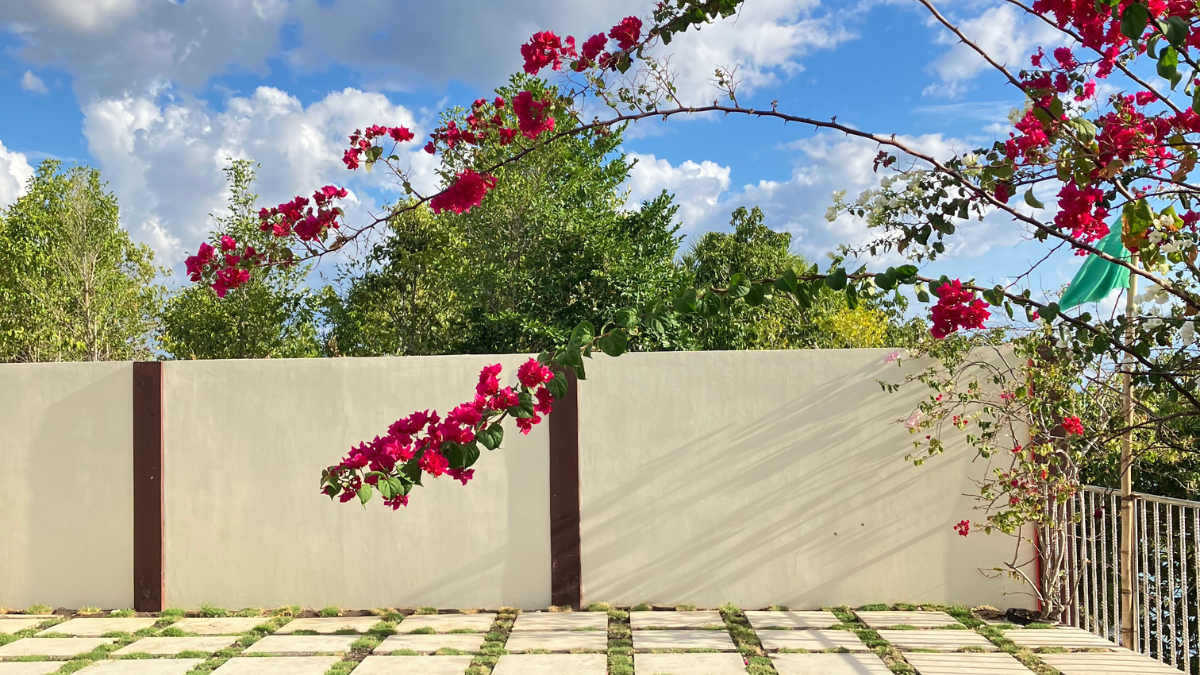 Nanay Eustiquia: A Digital Nomad’s Little Paradise Or Nightmare?