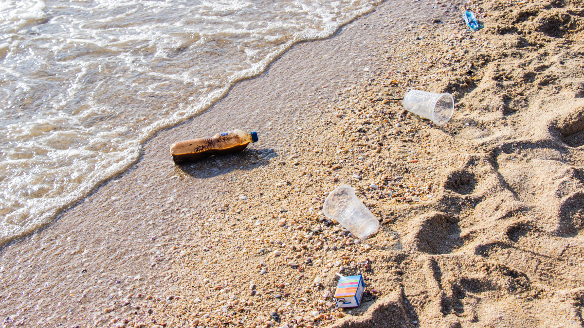 4 Easy Ways I Became an Eco-Conscious Digital Nomad